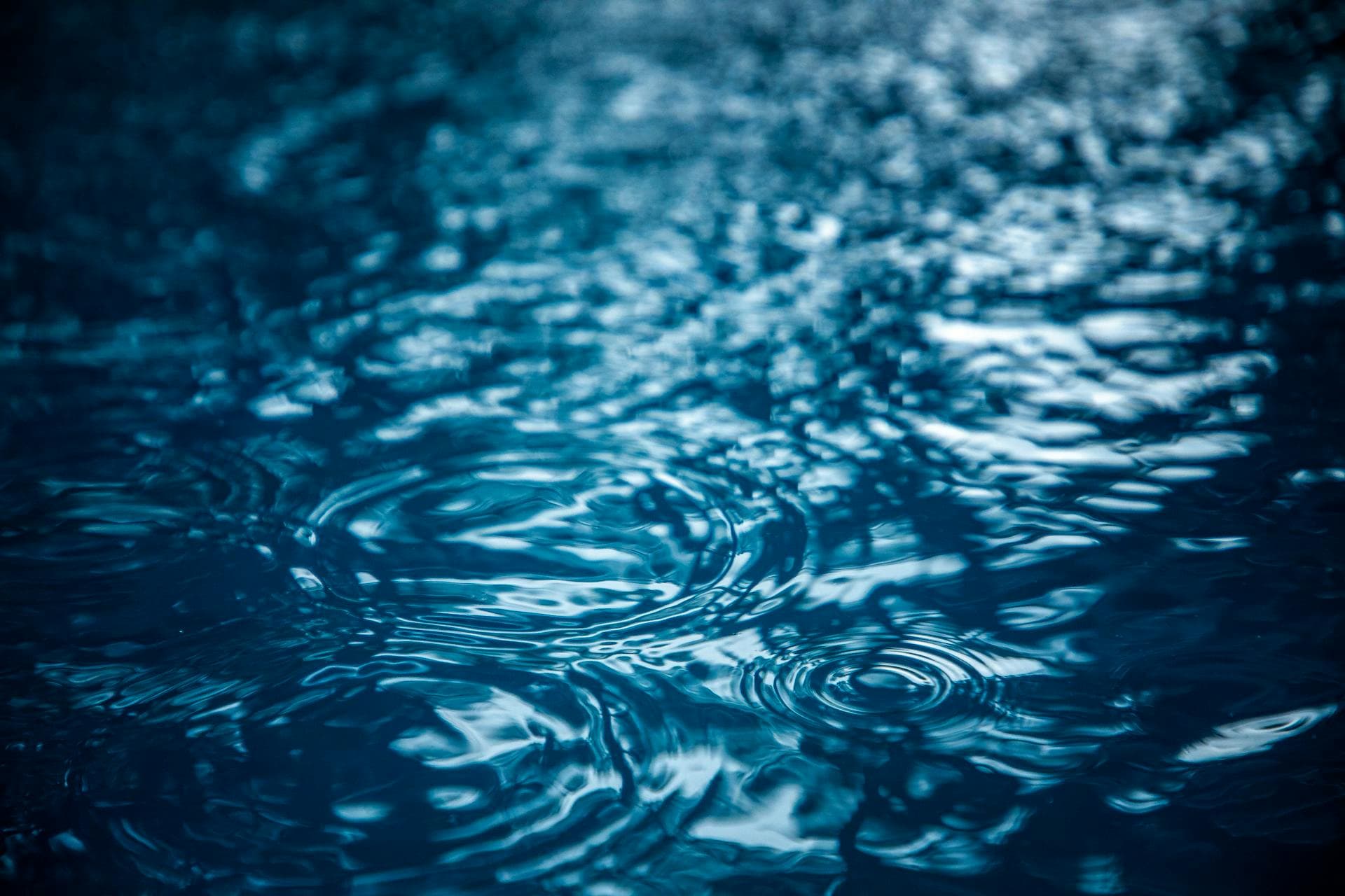 Raindrops rippling the surface of dark blue water