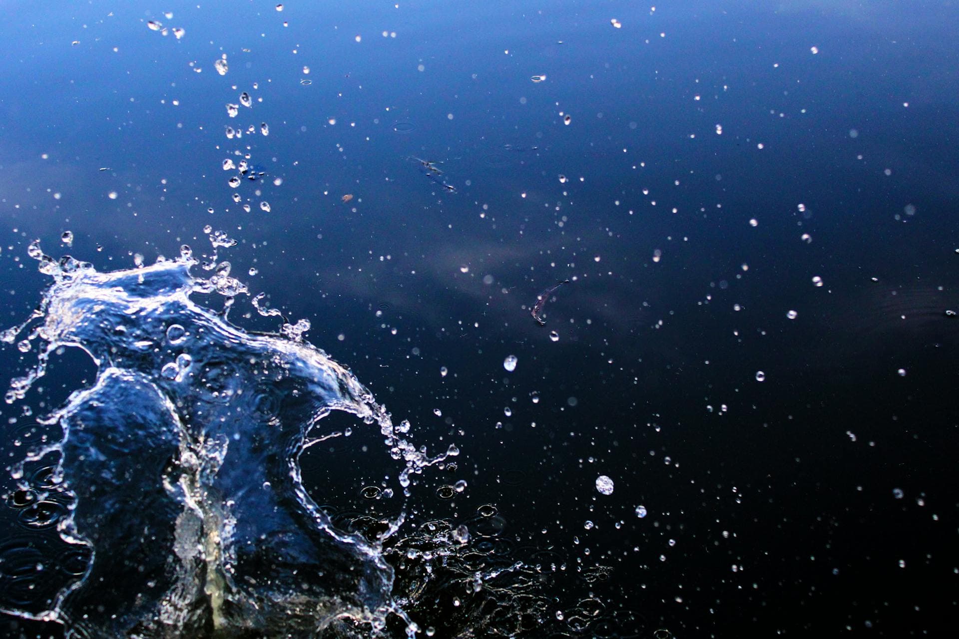 Sunlit water splashing on a dark lake surface